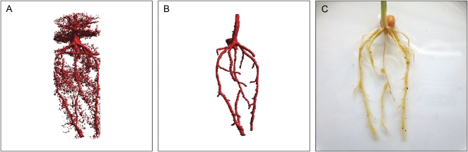 Figure 4.