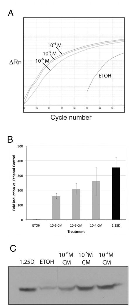 Fig. 6