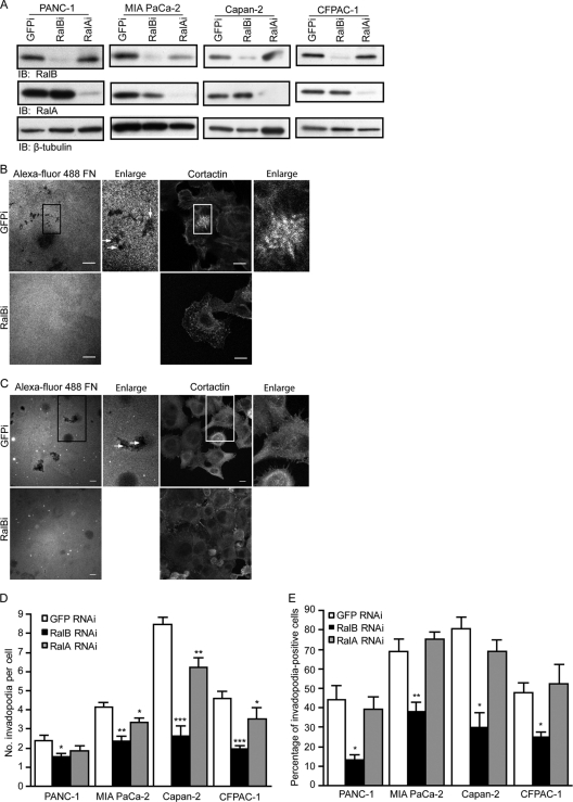 Fig 4