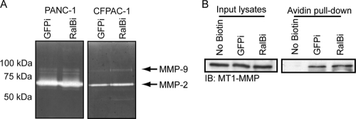 Fig 5