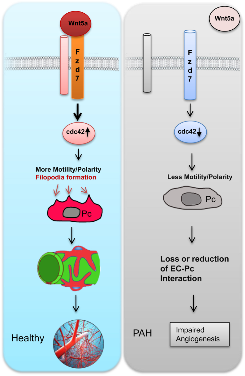 Figure 7