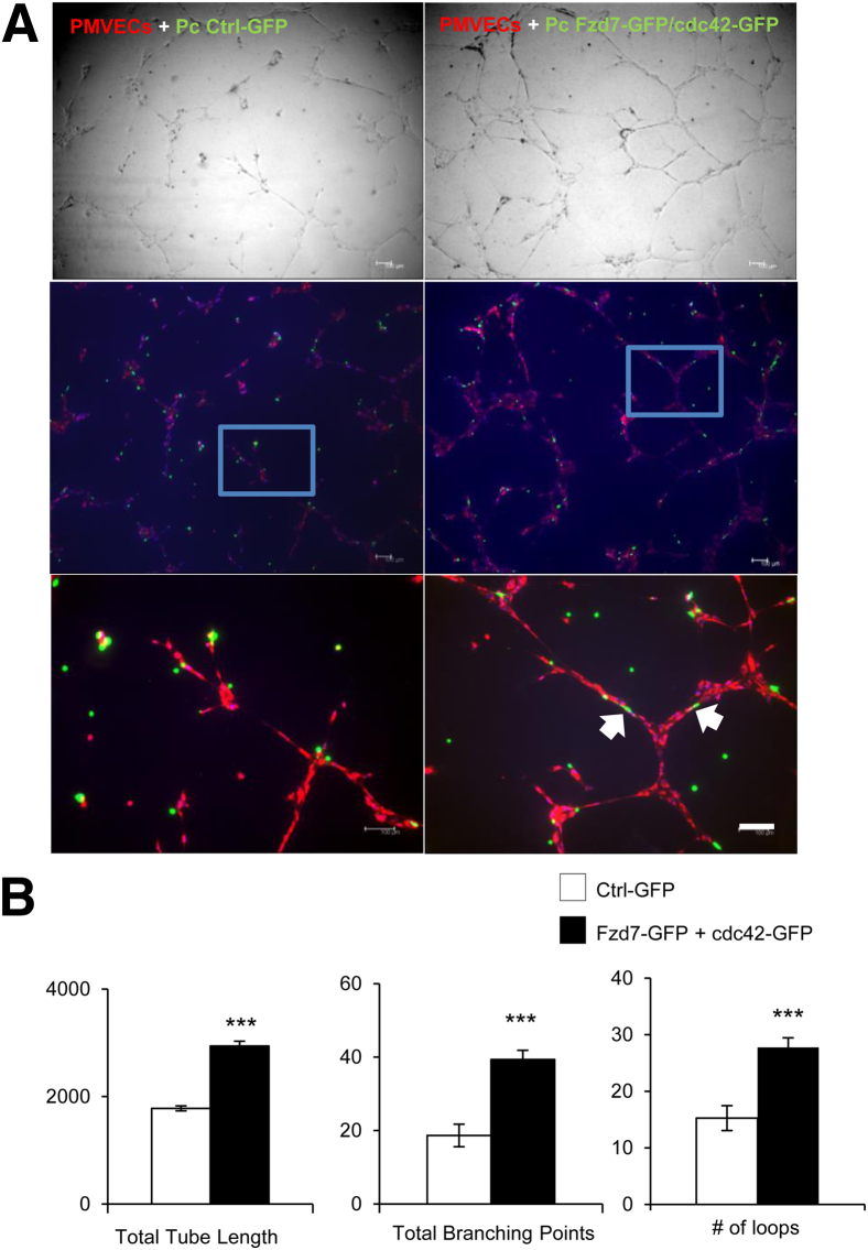 Figure 6