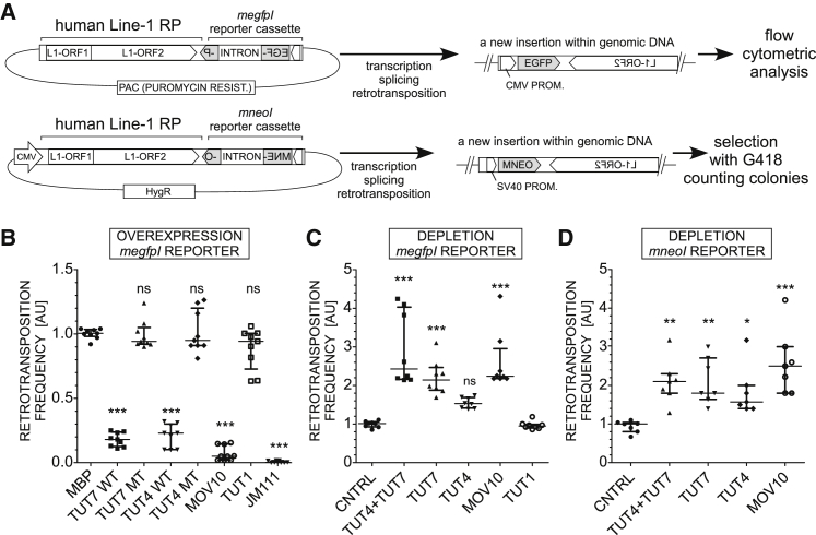 Figure 1