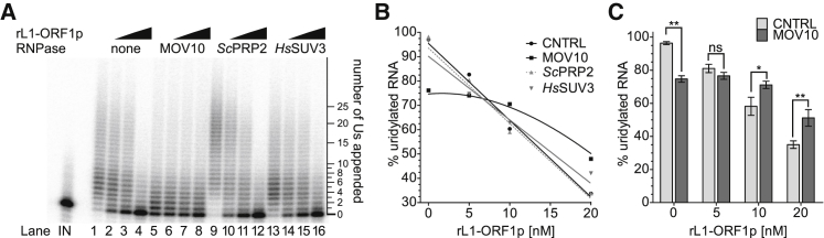 Figure 6