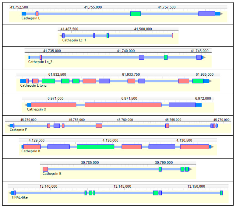 Figure 11