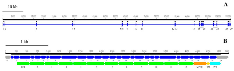 Figure 10