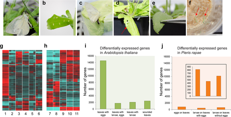 Figure 2: