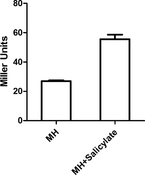 Fig. 5.