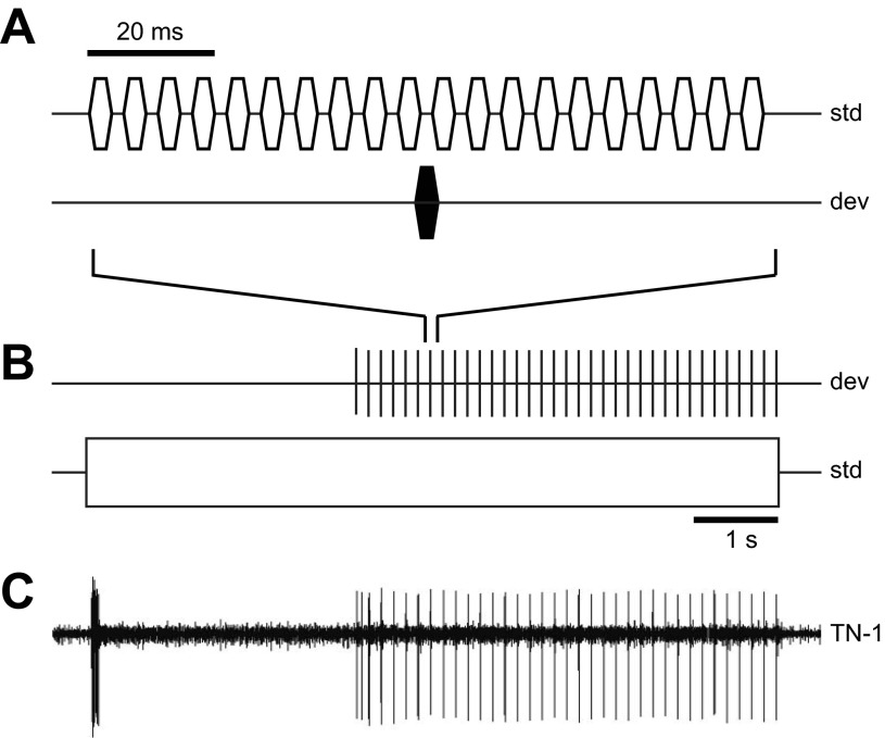 Fig. 1.