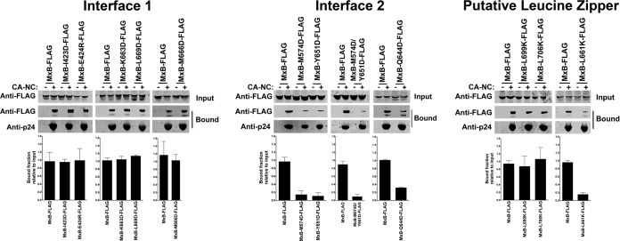 FIG 4