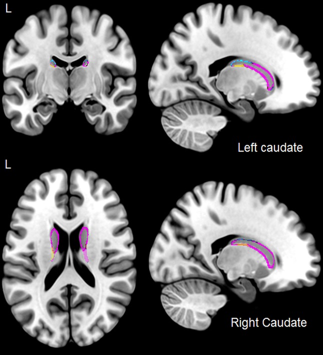 Fig. 3