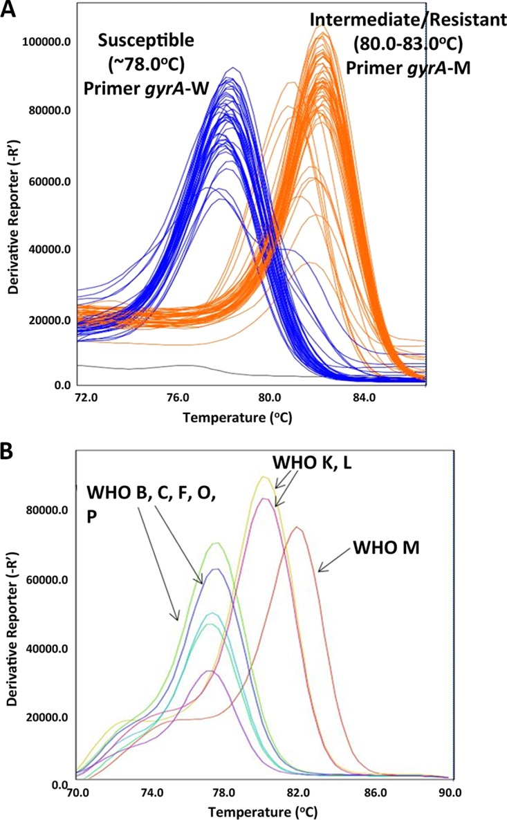 FIG 1