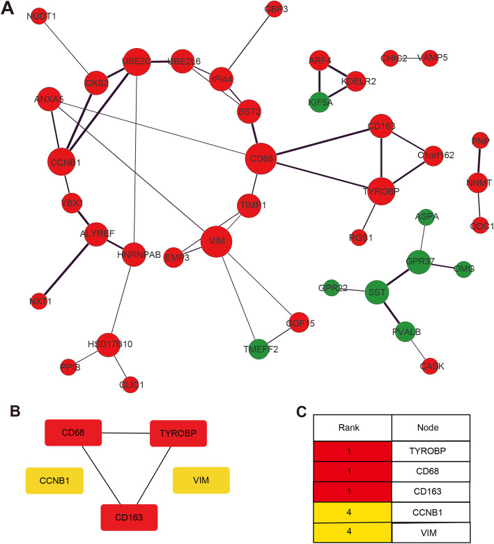 Elevated TYROBP expression predicts poor prognosis and high tumor ...