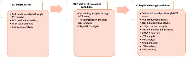 Figure 8