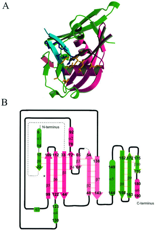 FIG. 2.