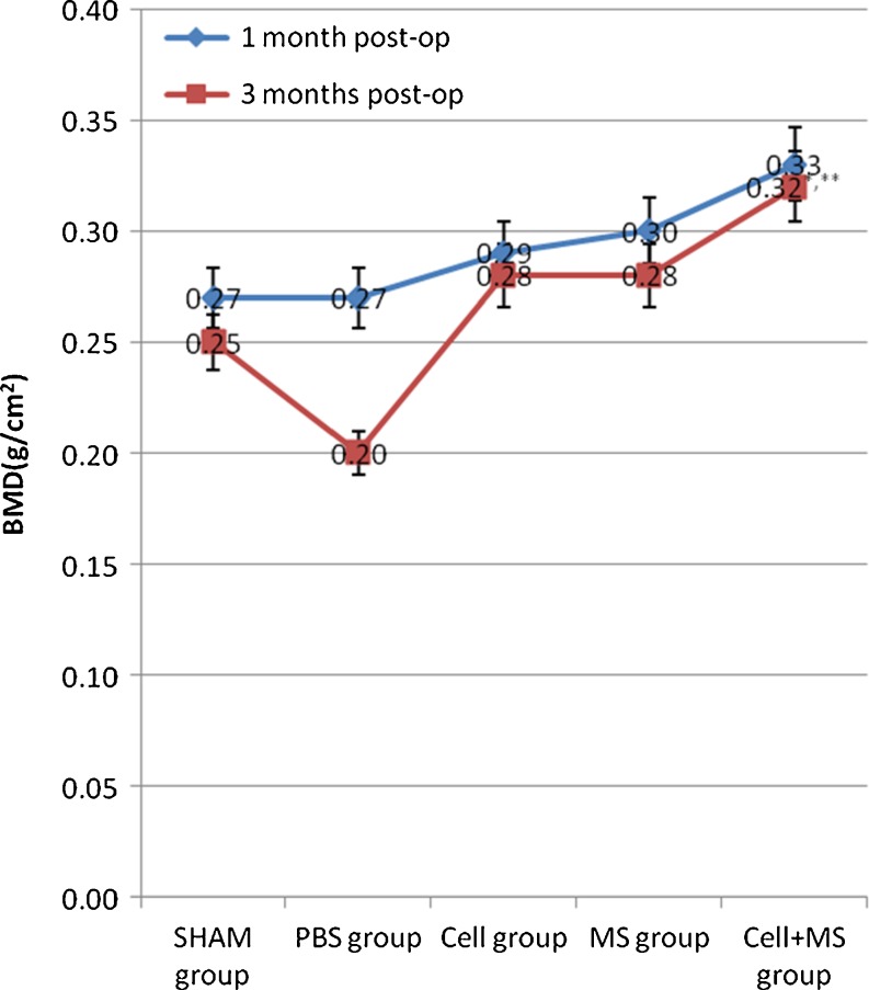 Graph 2