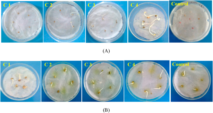 Figure 6