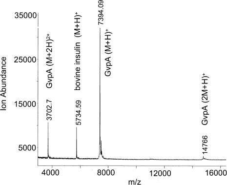 FIGURE 3