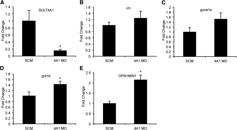 Fig. 3.