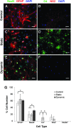 <b>FIG. 3.</b>