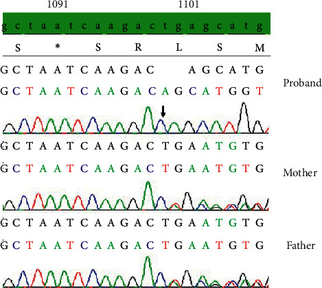 Figure 1