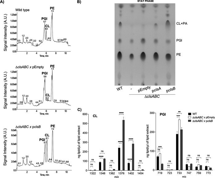 FIG 6