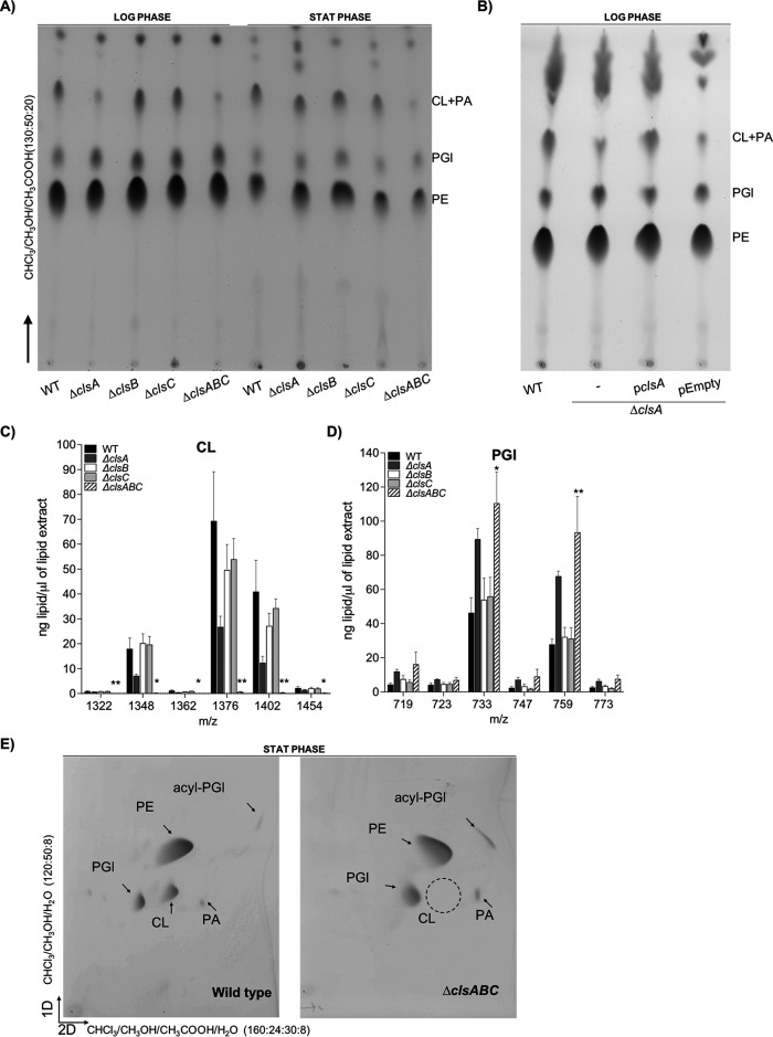 FIG 2