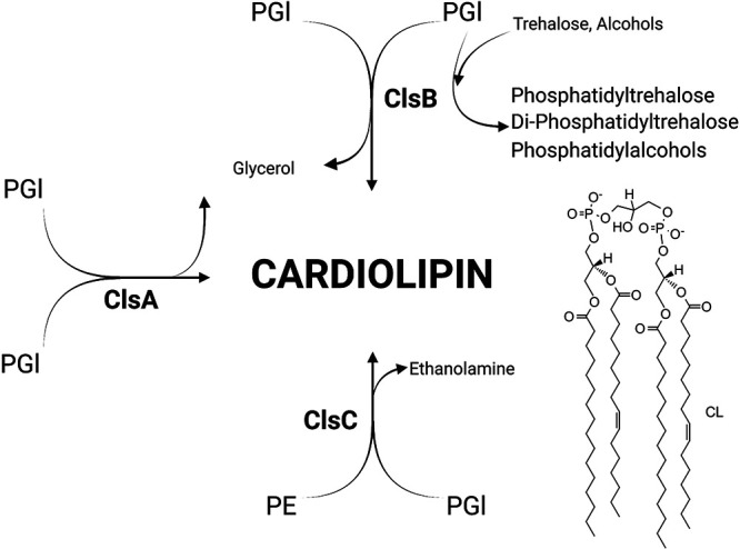 FIG 1