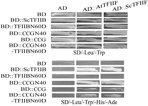 Figure 6.