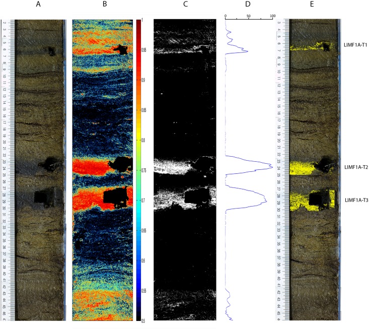 Fig 8