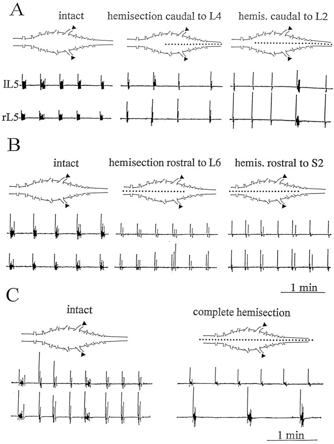 Fig. 5.