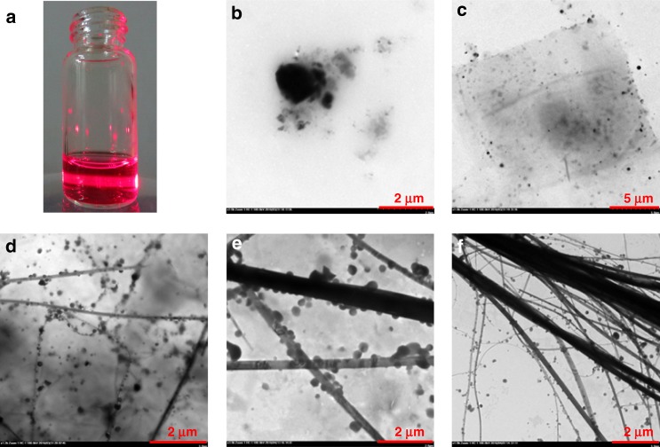 Fig. 9