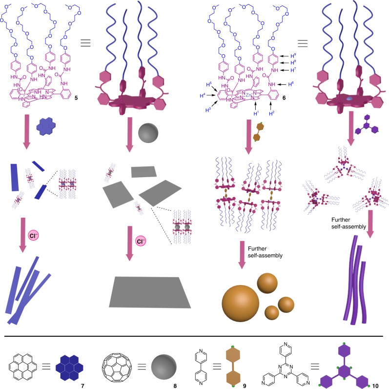 Fig. 2