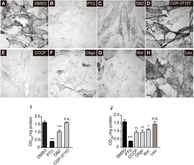 Fig. 8.