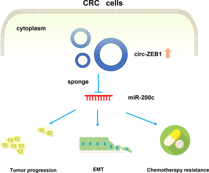 Image, graphical abstract