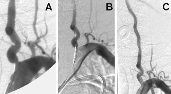 FIG. 7.