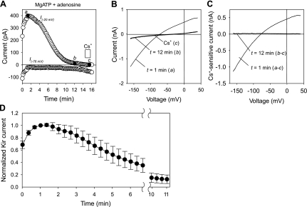 Fig. 7.