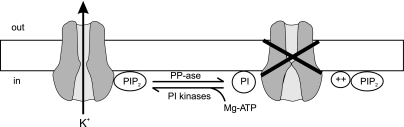 Fig. 8.