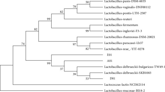 Figure 1