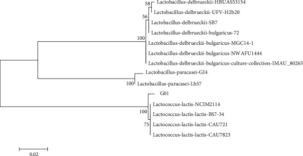 Figure 2