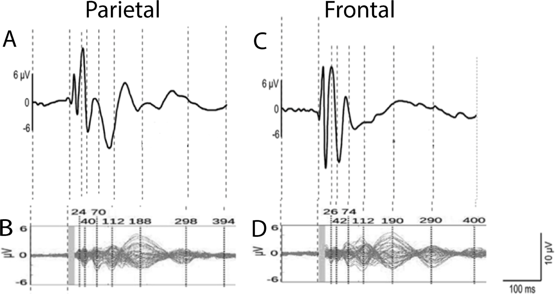 Figure 3 -