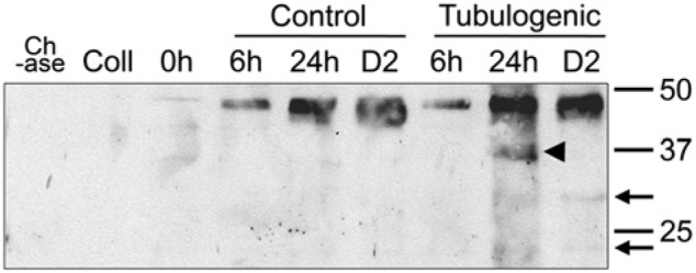 Figure 10.