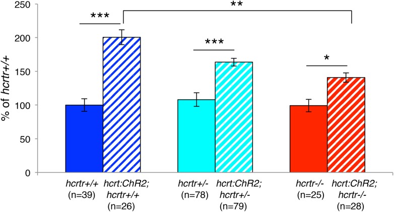 Figure 6—figure supplement 1.