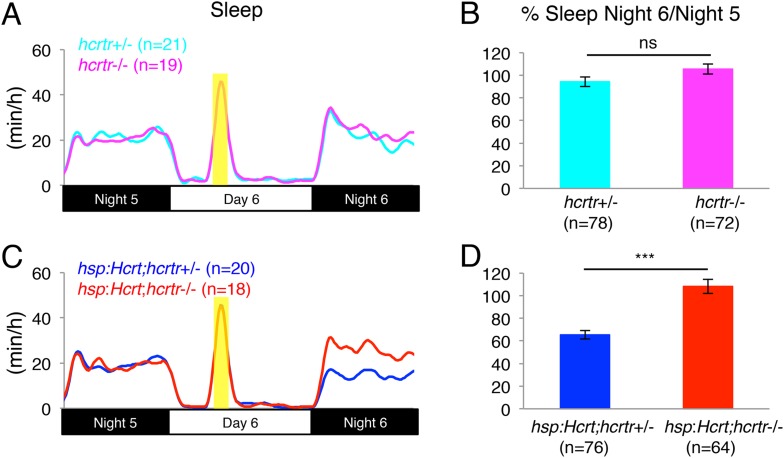 Figure 4—figure supplement 2.