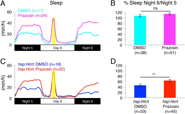 Figure 4—figure supplement 3.