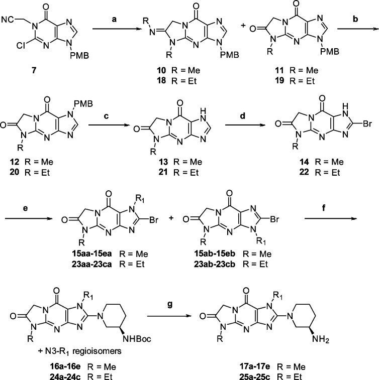 Scheme 2