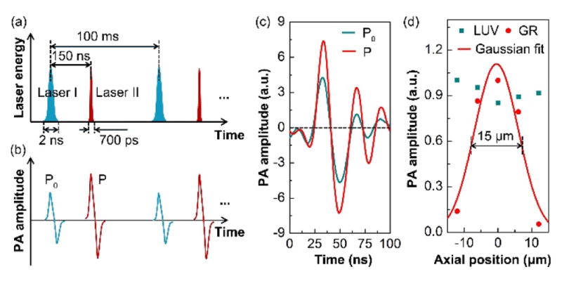 Fig. 2