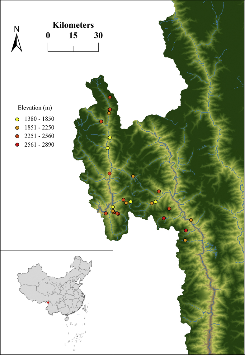 Fig. 1