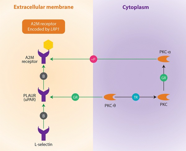 Figure 1