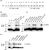 FIG 6